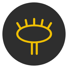 NairaCheck logo